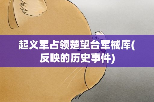 起义军占领楚望台军械库(反映的历史事件)