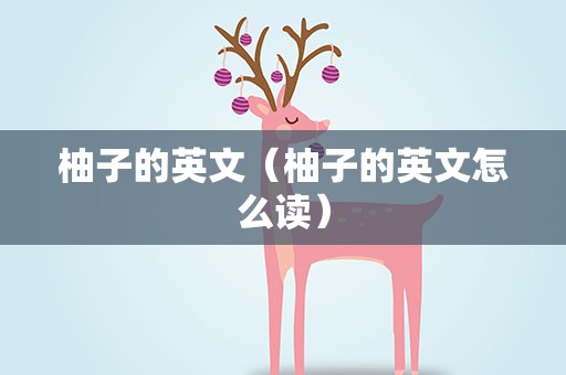 柚子的英文（柚子的英文怎么读）