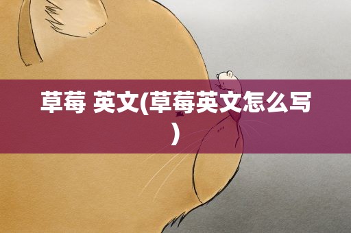 草莓 英文(草莓英文怎么写)