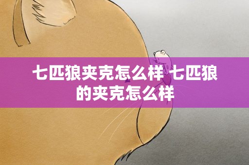 七匹狼夹克怎么样 七匹狼的夹克怎么样