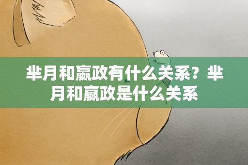 芈月和嬴政有什么关系？芈月和嬴政是什么关系