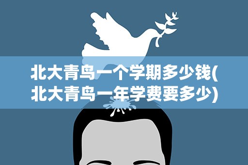 北大青鸟一个学期多少钱(北大青鸟一年学费要多少)