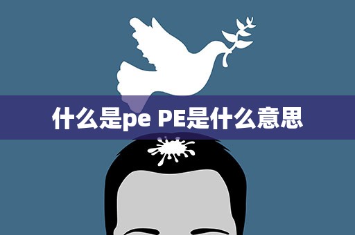 什么是pe PE是什么意思