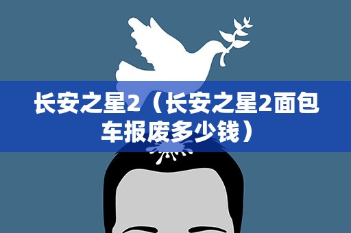 长安之星2（长安之星2面包车报废多少钱）