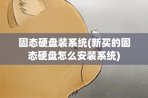 固态硬盘装系统(新买的固态硬盘怎么安装系统)