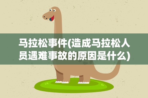 马拉松事件(造成马拉松人员遇难事故的原因是什么)