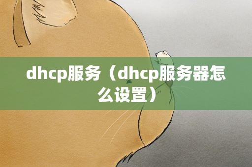 dhcp服务（dhcp服务器怎么设置）