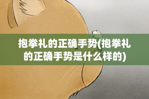 抱拳礼的正确手势(抱拳礼的正确手势是什么样的)
