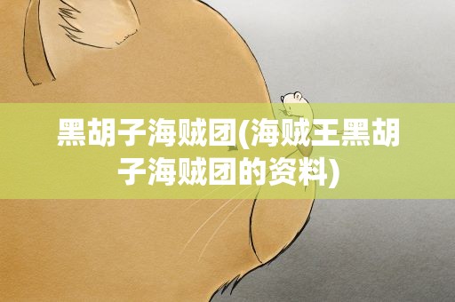 黑胡子海贼团(海贼王黑胡子海贼团的资料)