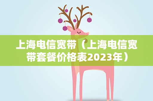 上海电信宽带（上海电信宽带套餐价格表2023年）