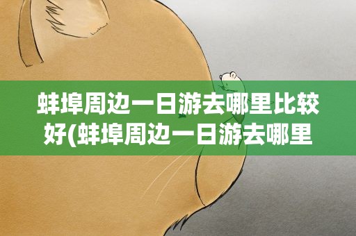 蚌埠周边一日游去哪里比较好(蚌埠周边一日游去哪里比较好孩子)