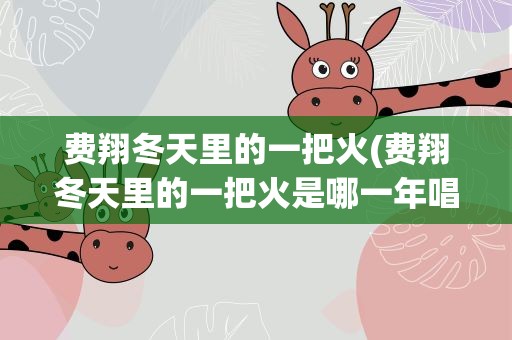 费翔冬天里的一把火(费翔冬天里的一把火是哪一年唱的)