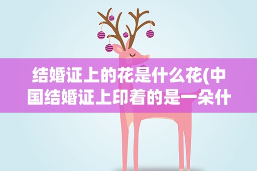 结婚证上的花是什么花(中国结婚证上印着的是一朵什么花)