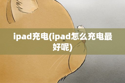 ipad充电(ipad怎么充电最好呢)