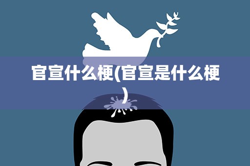 官宣什么梗(官宣是什么梗)