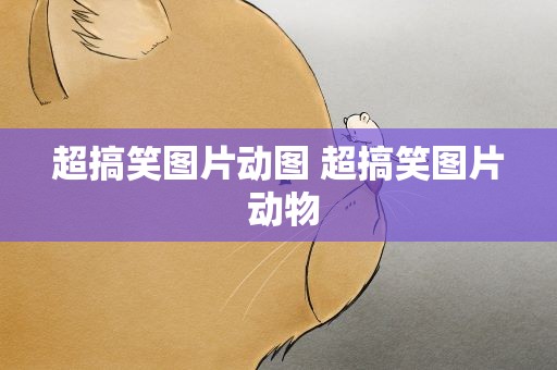 超搞笑图片动图 超搞笑图片 动物