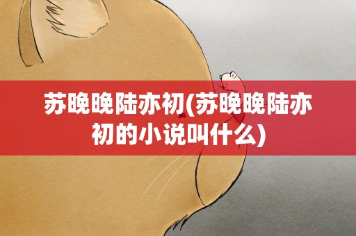 苏晚晚陆亦初(苏晚晚陆亦初的小说叫什么)
