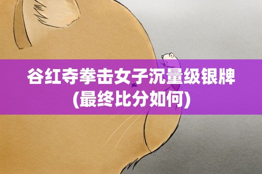 谷红夺拳击女子沉量级银牌(最终比分如何)