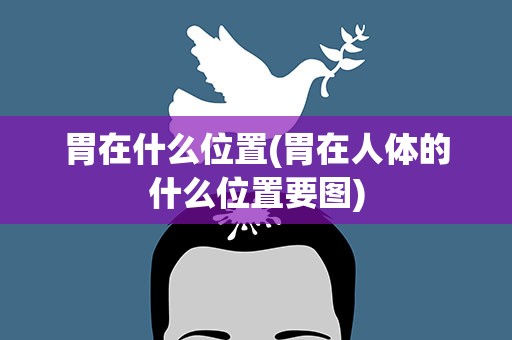 胃在什么位置(胃在人体的什么位置要图)