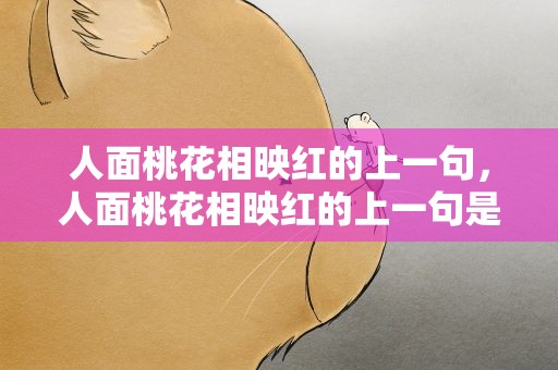 人面桃花相映红的上一句，人面桃花相映红的上一句是啥
