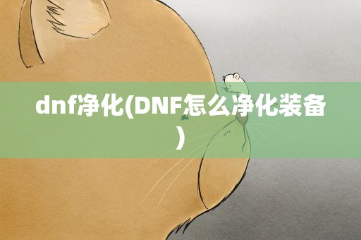 dnf净化(DNF怎么净化装备)