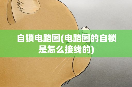自锁电路图(电路图的自锁是怎么接线的)