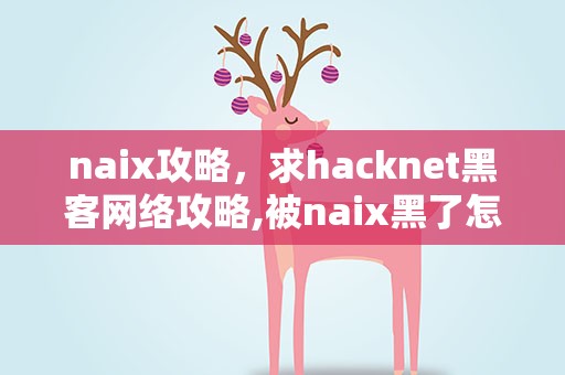 naix攻略，求hacknet黑客网络攻略,被naix黑了怎么破这关过不去啊