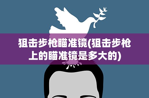 狙击步枪瞄准镜(狙击步枪上的瞄准镜是多大的)