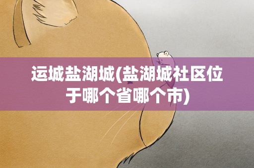 运城盐湖城(盐湖城社区位于哪个省哪个市)