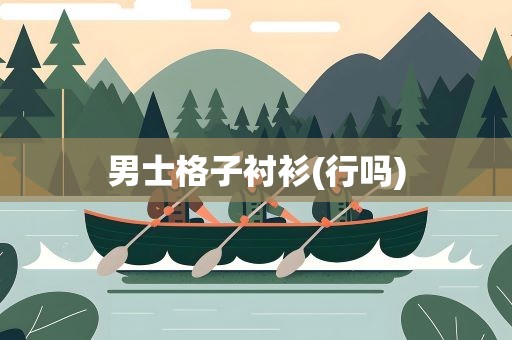 男士格子衬衫(行吗)