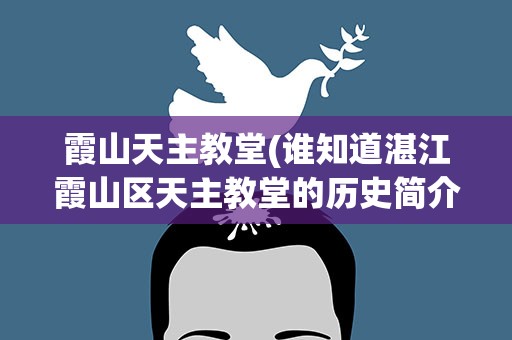 霞山天主教堂(谁知道湛江霞山区天主教堂的历史简介啊)