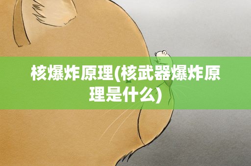 核爆炸原理(核武器爆炸原理是什么)