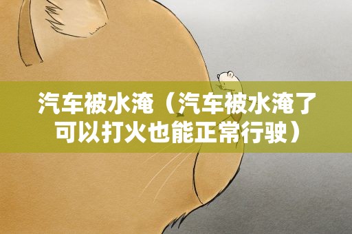 汽车被水淹（汽车被水淹了可以打火也能正常行驶）