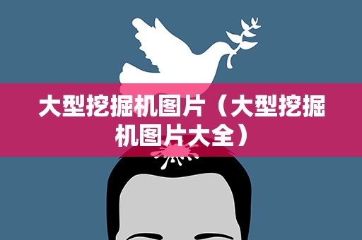 大型挖掘机图片（大型挖掘机图片大全）