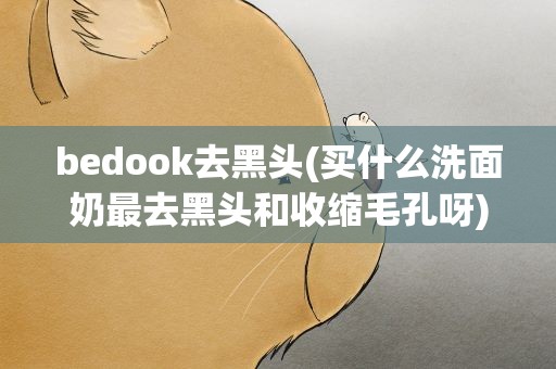 bedook去黑头(买什么洗面奶最去黑头和收缩毛孔呀)