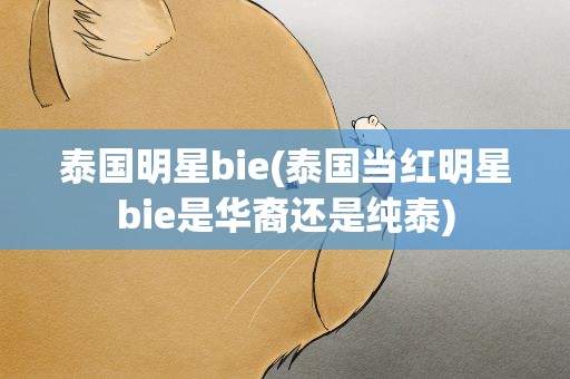 泰国明星bie(泰国当红明星bie是华裔还是纯泰)