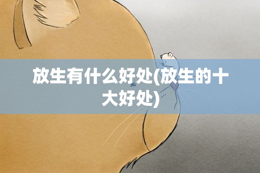 放生有什么好处(放生的十大好处)