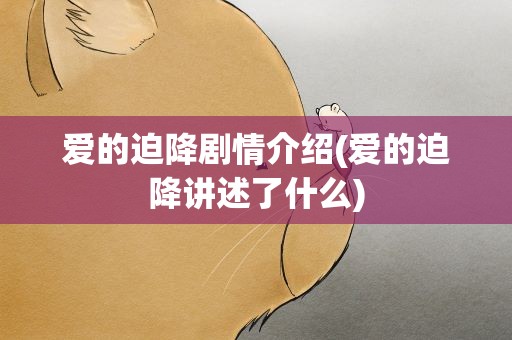 爱的迫降剧情介绍(爱的迫降讲述了什么)
