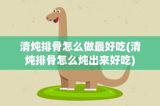 清炖排骨怎么做最好吃(清炖排骨怎么炖出来好吃)