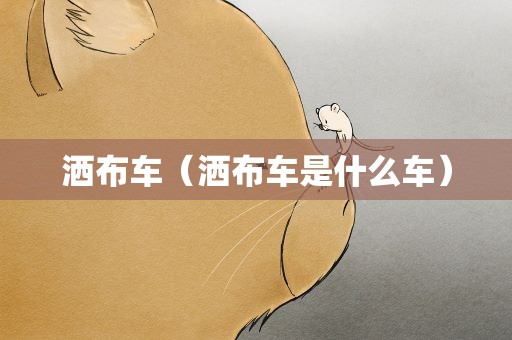 洒布车（洒布车是什么车）