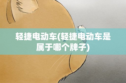 轻捷电动车(轻捷电动车是属于哪个牌子)