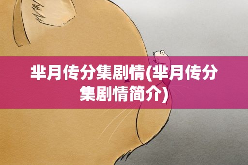 芈月传分集剧情(芈月传分集剧情简介)
