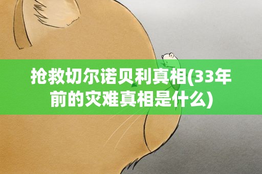抢救切尔诺贝利真相(33年前的灾难真相是什么)