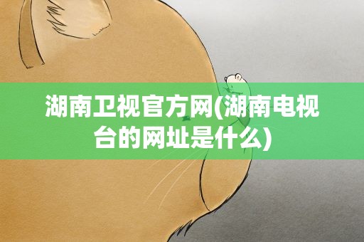 湖南卫视官方网(湖南电视台的网址是什么)