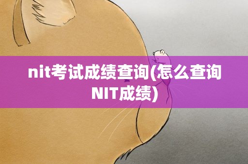 nit考试成绩查询(怎么查询NIT成绩)