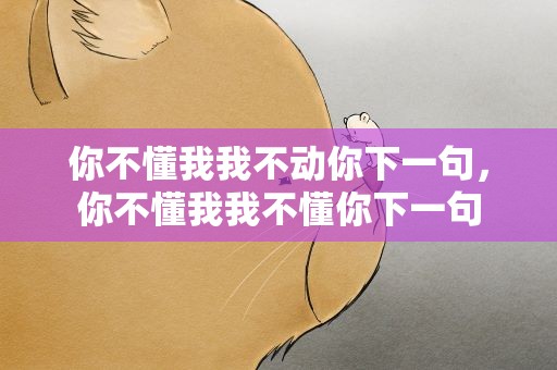 你不懂我我不动你下一句，你不懂我我不懂你下一句