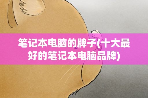 笔记本电脑的牌子(十大最好的笔记本电脑品牌)