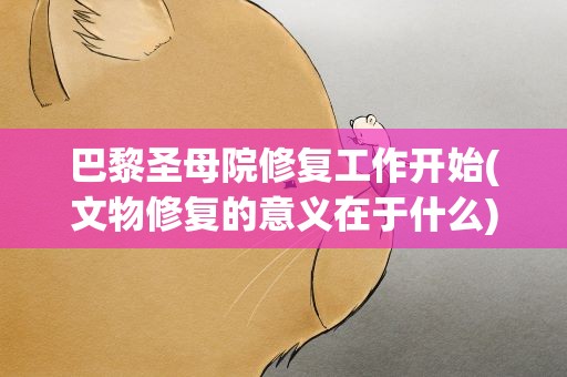 巴黎圣母院修复工作开始(文物修复的意义在于什么)