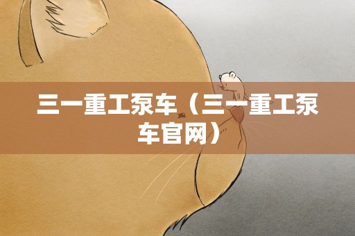 三一重工泵车（三一重工泵车官网）