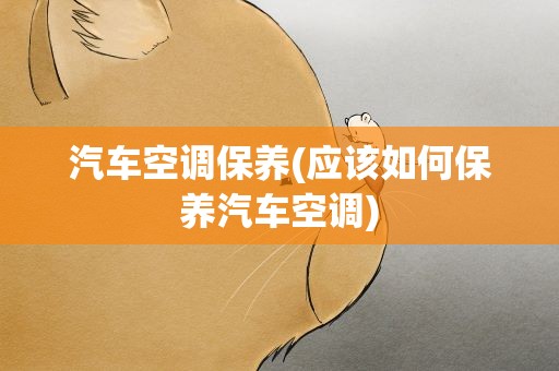 汽车空调保养(应该如何保养汽车空调)